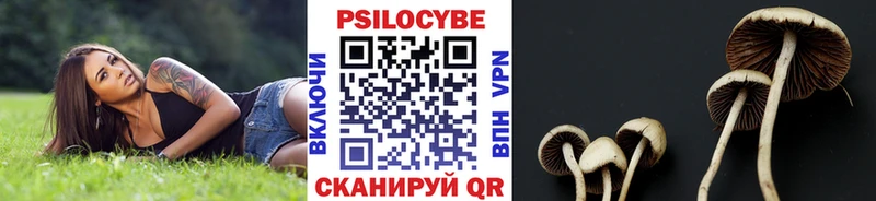 Галлюциногенные грибы ЛСД  Кинель 